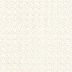 Mintopia CARTE BASICHE con FOIL Outdoors by Pili Sallent 30x30cm
