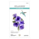 Spellbinders Petunia and Hummingbird Etched Dies