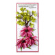 Spellbinders Echinacea (Coneflower) Etched Dies