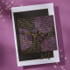 Spellbinders Script Tekst BetterPress Plate