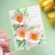 Spellbinders Cosmos Etched Dies