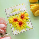 Spellbinders Echinacea (Coneflower) Etched Dies