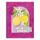 Spellbinders Citrus Spritz Etched Dies