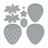 Spellbinders Felt Berry Blossom Etched Dies