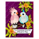Spellbinders Spread Your Wings Sentiments Clear Stamps