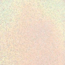 Ranger Embossing Powder Holographic