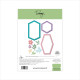 Tommy Fustella Flowers & frames