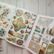 Ciao Bella Summer Days A4 Junk Journal Ephemera Book 32pz