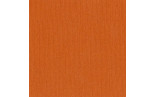 Cartoncino Bazzill Mono Canvas Orange 30x30cm 216gsm
