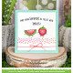 LAWN FAWN Summer Friends Cuts