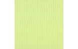 Cartoncino Bazzill Mono Canvas Limeade 30x30cm 216gsm