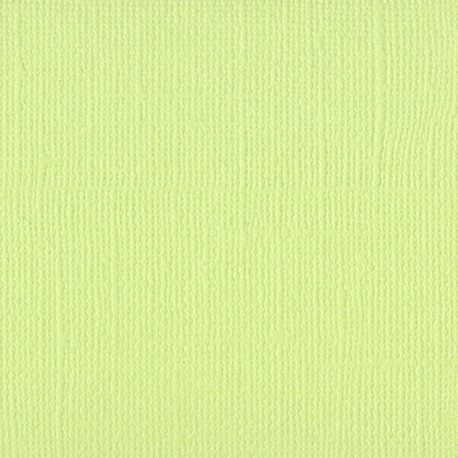 Cartoncino Bazzill Mono Canvas Limeade 30x30cm 216gsm