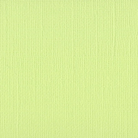 Cartoncino Bazzill Mono Canvas Limeade 30x30cm 216gsm