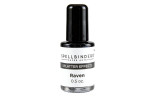 Spellbinders Raven Splatter Effects