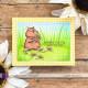 Purple Onion Designs Chilliezgraphy by Pei - Picking Daisies