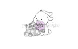 Purple Onion Designs Chilliezgraphy by Pei - Sweet Bunny