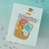 HERO ARTS Summer By The Shore Die Set Message in a Bottle