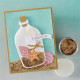 HERO ARTS Summer By The Shore Die Set Sophisticated Shells