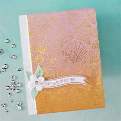 HERO ARTS Summer By The Shore Letterpress + Foil Debossing Plate Scattered Shells