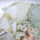 49 and Market Botanical Buzz Collection Pack 15x20cm