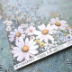 49 and Market Botanical Buzz Collection Pack 30x30cm