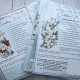 Mintay Papers Creative Kit Merry & Joy