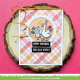 LAWN FAWN Silly Goose! Clear Stamps
