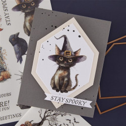 Spellbinders Stay Spooky Rub-On Sheets 2fogli