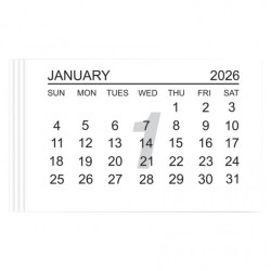 CALENDAR TABS 2026 MAX 5 PEZZI A ORDINE!!!