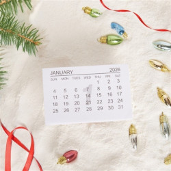CALENDAR TABS 2026 MAX 5 PEZZI A ORDINE!!!