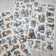 Craft o' Clock Jolly Season Extras to Cut MIX 15,75x30,5cm