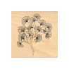 Florileges Timbro Montato BRANCHE GINKGO