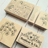 Florileges Timbro Montato MINI BORDURE TEXTE