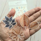 Florileges Die Cuts VELLUM GINKGO