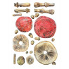 Stamperia Whispering Woods Silicon Mould A5 Mushrooms 3D