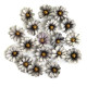 Prima Marketing Bewitched Flowers Ghostly Blooms 18pz