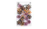 Prima Marketing Bewitched Flowers Witch Hazel 18pz