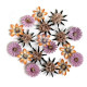 Prima Marketing Bewitched Flowers Witch Hazel 18pz