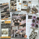 Prima Marketing Bewitched Chipboard Stickers