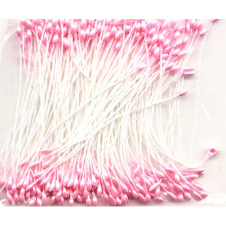144 Pistilli Rosa