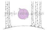 Purple Onion Designs by Stacey Yacula - Birch Tree Background