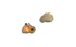 Charm Zucca con Girasole