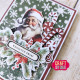 Craft&You Candy Canes Dies