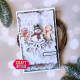Craft&You Snowflakes 2 A6 Stencil