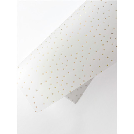 Dunaon Foglio Vellum Stelline con FOIL 30x30cm