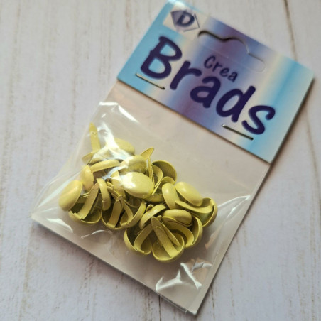 25 Brads Gialli