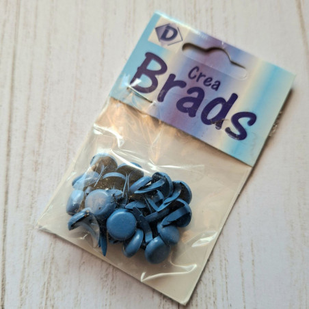 25 Brads Azzurri