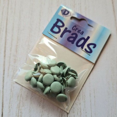 25 Brads Anice