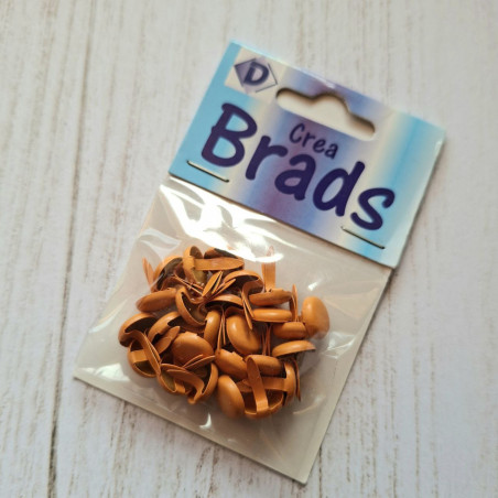 25 Brads Arancioni
