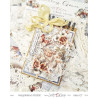 Craft o' Clock Timeless Grace Paper COLLECTION and BASIC designs Set 20x20cm 24fg